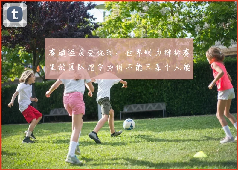 赛道温度变化时,世界耐力锦标赛里的团队指令为何不能只靠个人能力